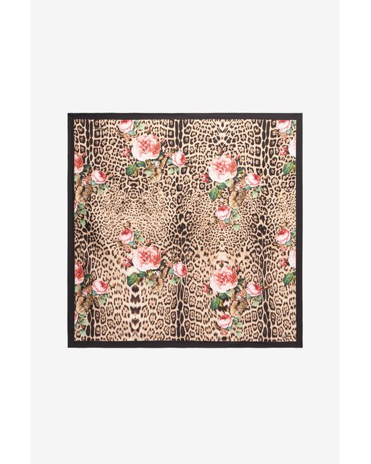 Roberto Cavalli Multicolor Jaguar Roses Print Scarf