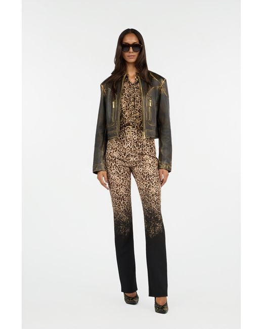 Roberto Cavalli Multicolor Leopard Print Trousers
