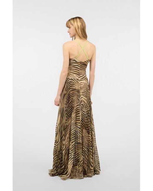 Roberto Cavalli Natural Extra-Long Dress With Tiger Skin Print