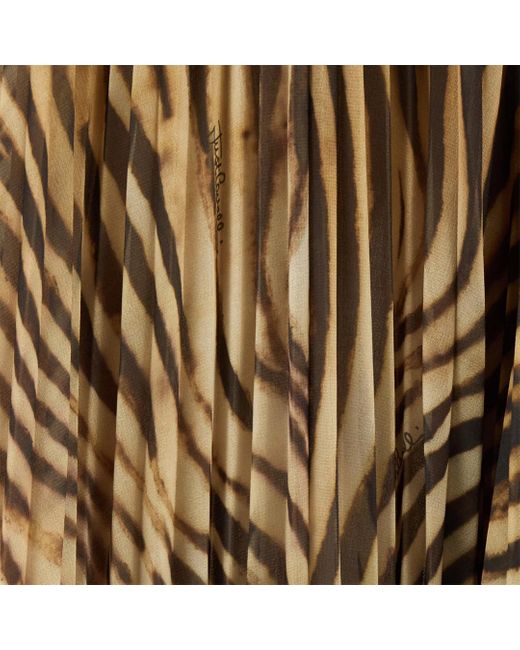 Roberto Cavalli Natural Extra-Long Dress With Tiger Skin Print