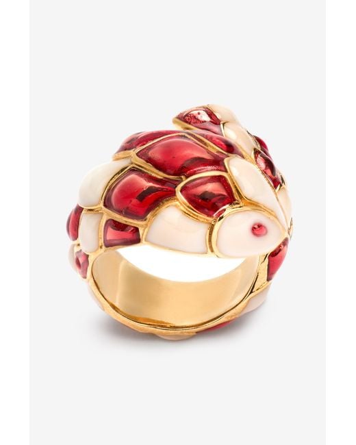 Snake Ring Roberto Cavalli en coloris Pink