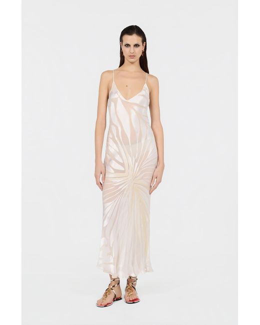 Roberto Cavalli White Slip Dress With Ray Devoré Print