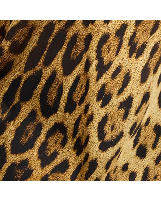 Roberto Cavalli Brown Leopard Print Lace Slip Dress