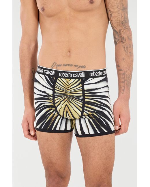 Roberto Cavalli Multicolor Boxers With Ray Of Print for men