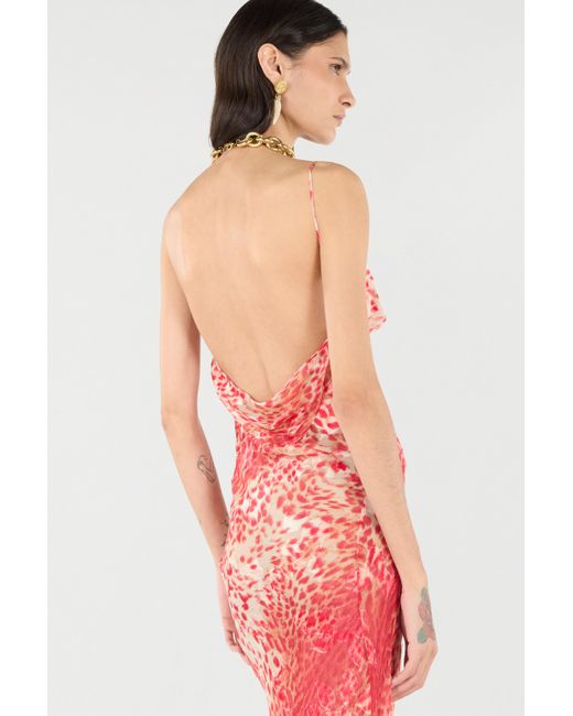 Roberto Cavalli Pink Long Dress With Jaguar Skin Print