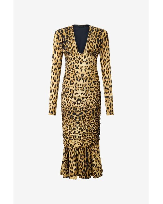Roberto Cavalli Brown Midi Dress With Jaguar Skin Print