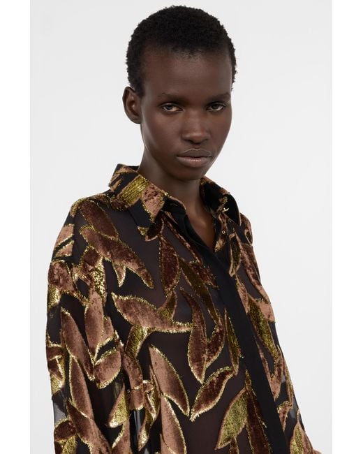 Roberto Cavalli Brown Chocolate Sheer Shirt With Foliage Motif