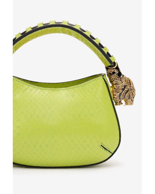 Mini Roar Bag Con Stampa Serpente di Roberto Cavalli in Blue
