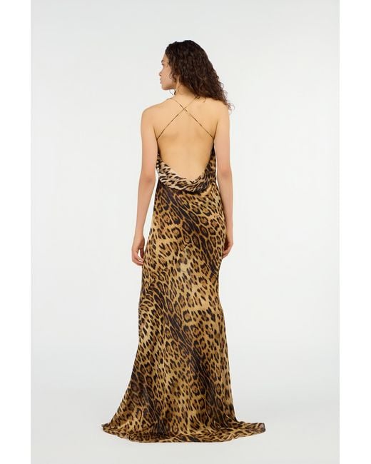 Roberto Cavalli Metallic Long Silk Dress With Jaguar Skin Print