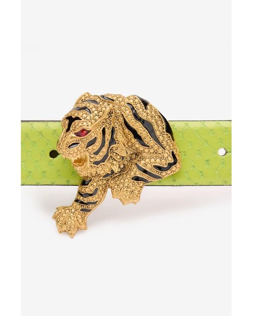Roberto Cavalli Multicolor Roar Belt