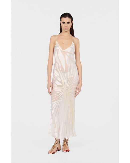 Vestido Slip Con Estampado Ray Devoré Roberto Cavalli de color White