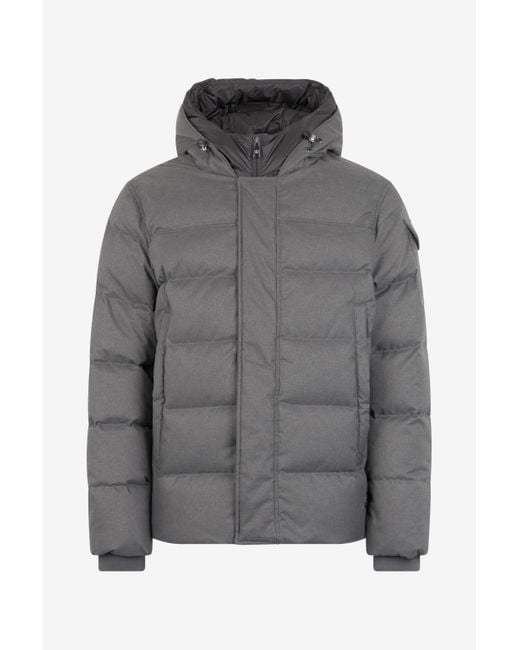 Roberto Cavalli Gray Hooded Puffer Jacket for men