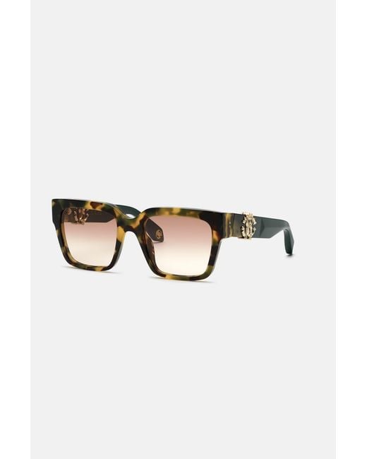Roberto Cavalli Brown Sunglasses Monogram Collection