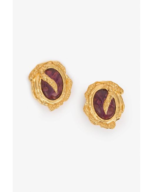Roberto Cavalli Multicolor Golden Clip-On Earrings With Amethyst Stone