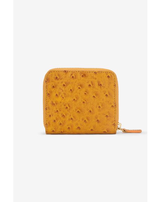 Roberto Cavalli Multicolor Small Ostrich-Effect Wallet