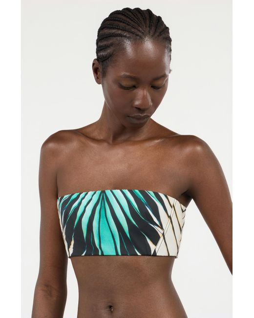 Haut Bandeau Imprimé Ray Of Sea Roberto Cavalli en coloris Green