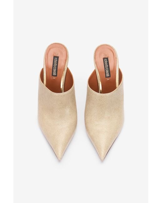 Roberto Cavalli Multicolor Leather Pointed-Toe Mules