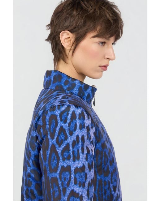 Roberto Cavalli Blue Bomber