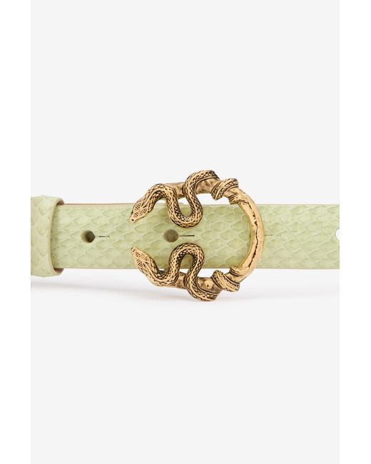 Roberto Cavalli Multicolor Light Leather Belt With Snake Buckle