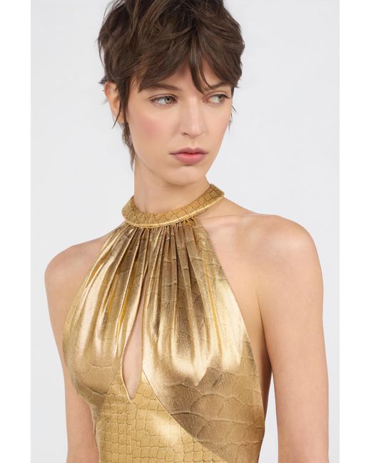 Roberto Cavalli Metallic Serpentine Print Maxi Dress