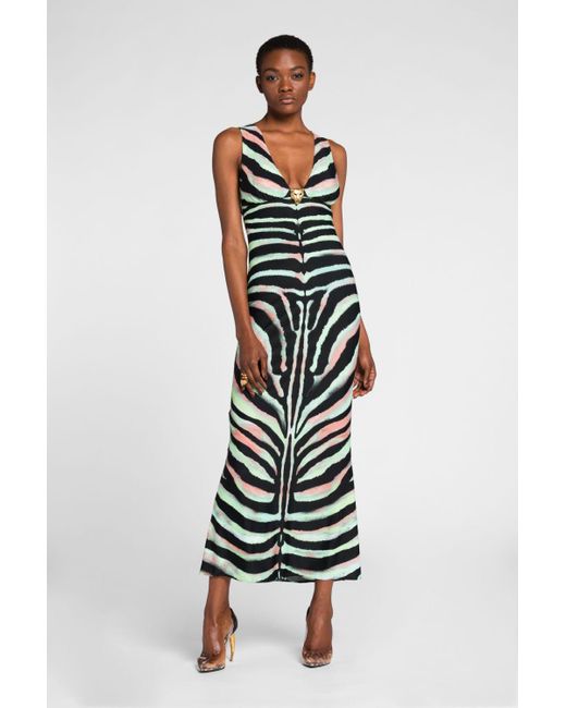 Roberto Cavalli Zebra-print Maxi Dress 