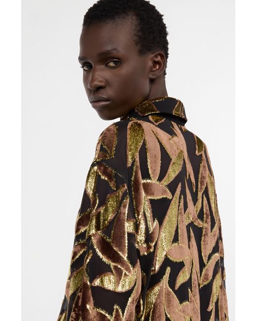 Roberto Cavalli Brown Chocolate Sheer Shirt With Foliage Motif
