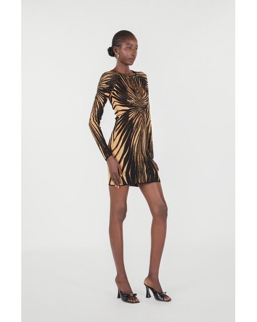 Roberto Cavalli Black Short Knit Dress With Ray Of Print