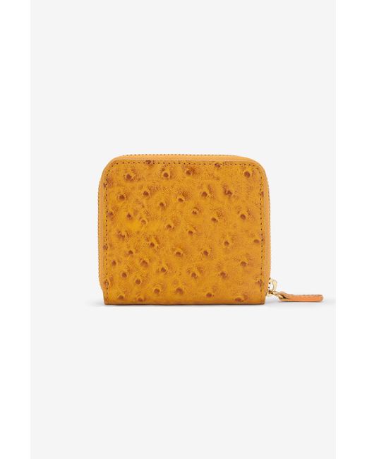 Roberto Cavalli Multicolor Small Ostrich-Effect Wallet