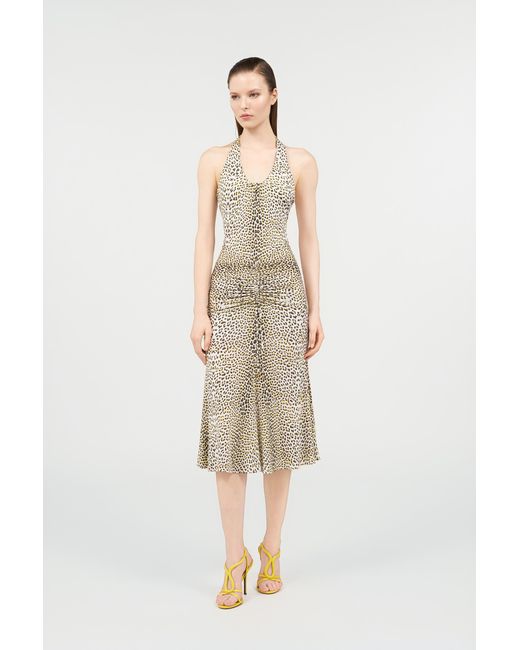 Roberto Cavalli White Pop Jaguar Print Midi Dress