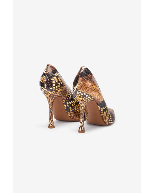 Roberto Cavalli Multicolor Pumps With Python Print