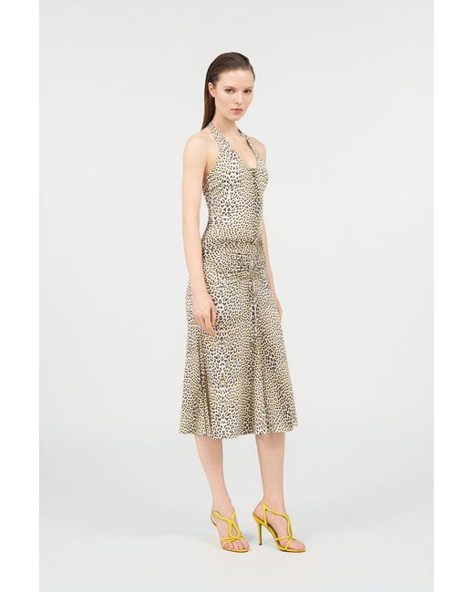 Roberto Cavalli White Pop Jaguar Print Midi Dress