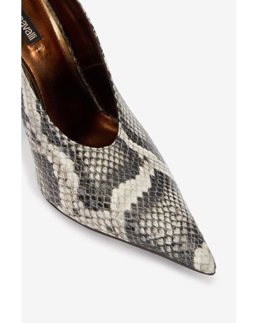 Roberto Cavalli Multicolor Pumps With Python Print