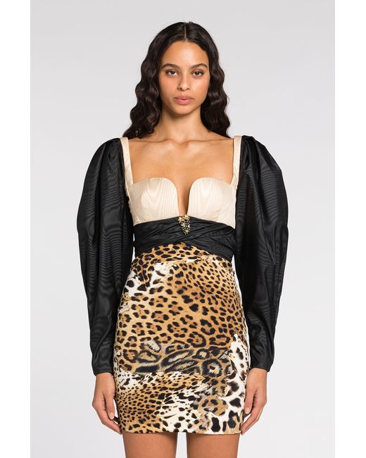 Roberto Cavalli Black Leopard Print Mini Dress