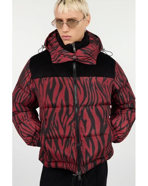 Roberto Cavalli Red Zebra Print Down Jacket for men