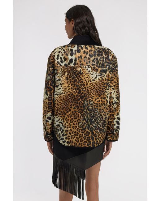 Roberto Cavalli Brown Leopard Printed Jacket
