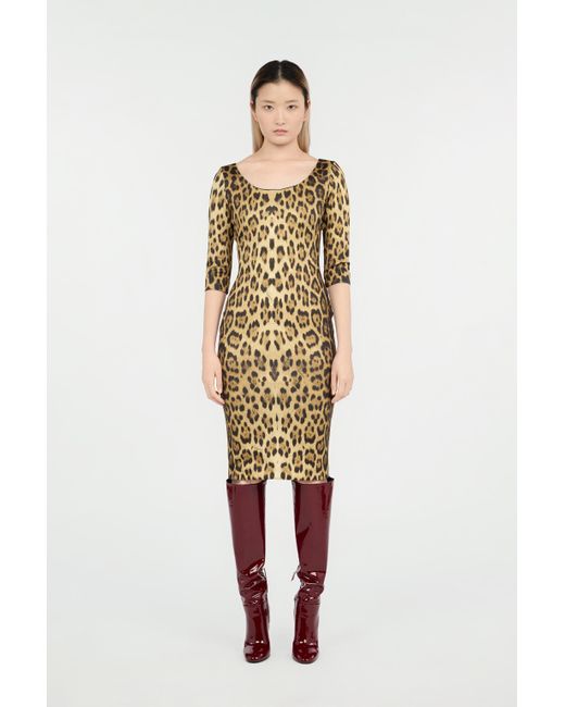Roberto Cavalli Natural Leopard Print Midi Dress