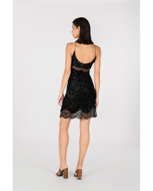 Roberto Cavalli Black Mini Dress With Lace