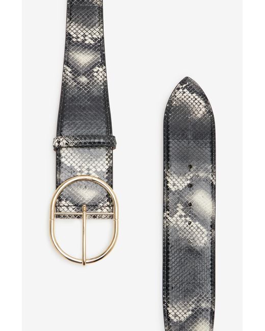 Roberto Cavalli Multicolor Shaped Belt