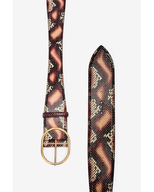 Roberto Cavalli Multicolor Shaped Belt
