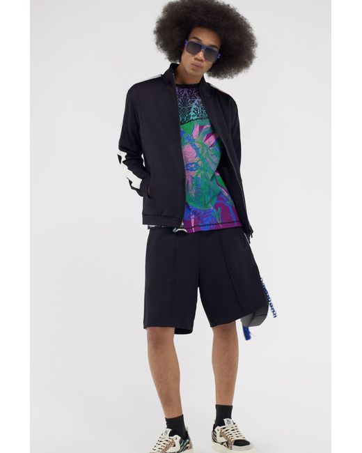 Roberto Cavalli Blue Just Cavalli Shorts for men