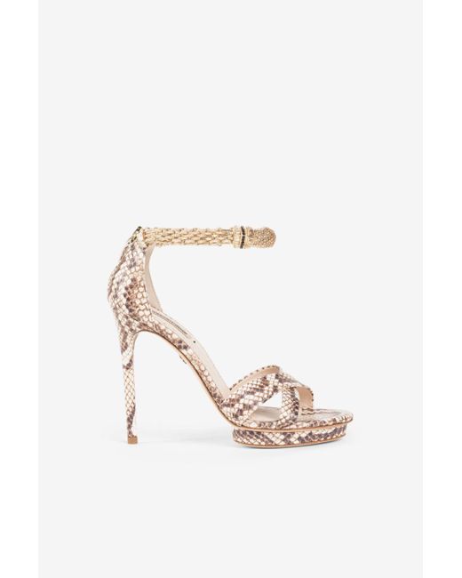 Roberto Cavalli White Snake-print Sandals