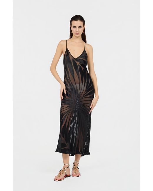 Roberto Cavalli Black Slip Dress With Ray Devoré Print
