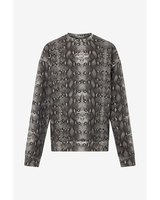Roberto Cavalli Sweatshirt Mit Python-Print in Gray für Herren