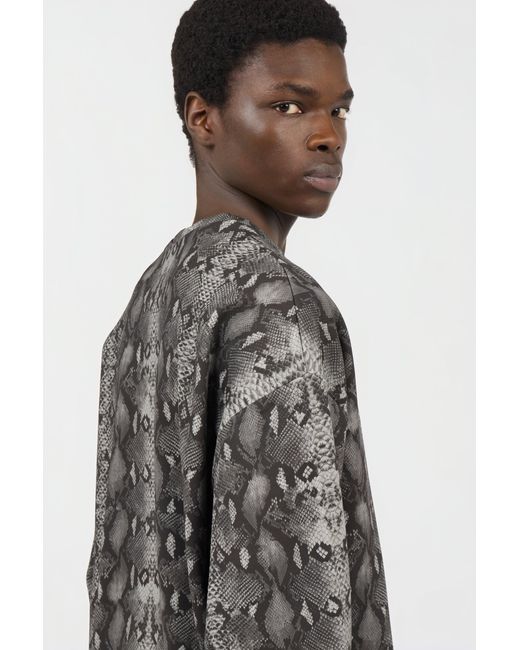 Roberto Cavalli Sweatshirt Mit Python-Print in Gray für Herren
