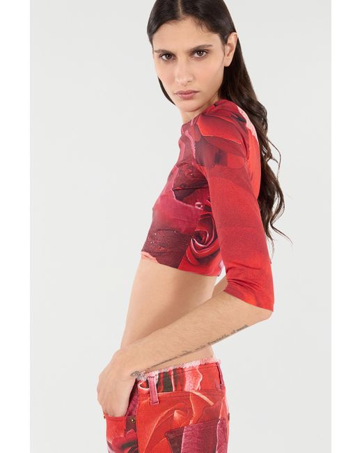 Roberto Cavalli Red Rose-Print Crop Top