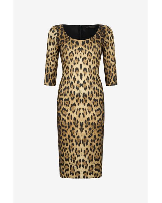 Roberto Cavalli Natural Leopard Print Midi Dress