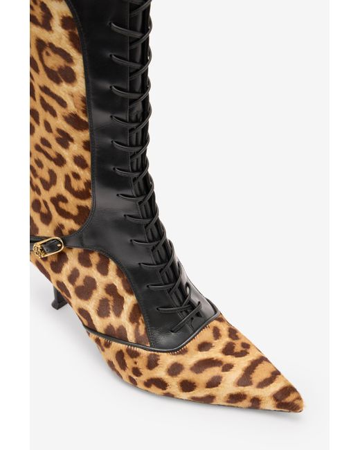 Bottes Pointues À Lacets Leopard Skin Roberto Cavalli en coloris Black