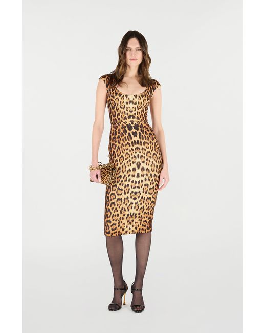 Roberto Cavalli Metallic Midi Dress With Jaguar Skin Print