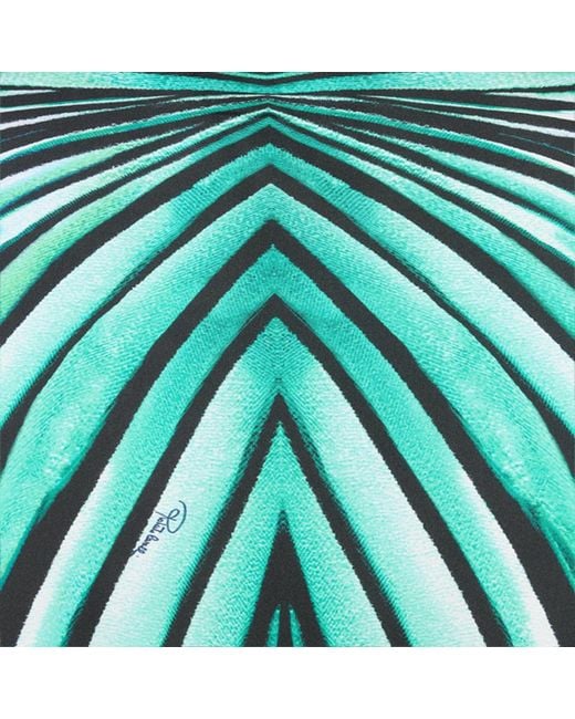 Roberto Cavalli Green Silk Blend T-Shirt With Ray Of Sea Print for men