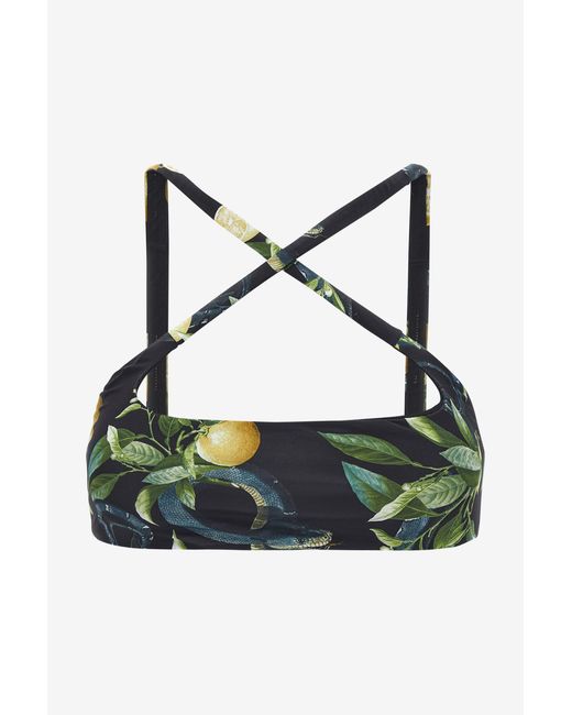 Roberto Cavalli Green Lemon Print Bandeau Bikini